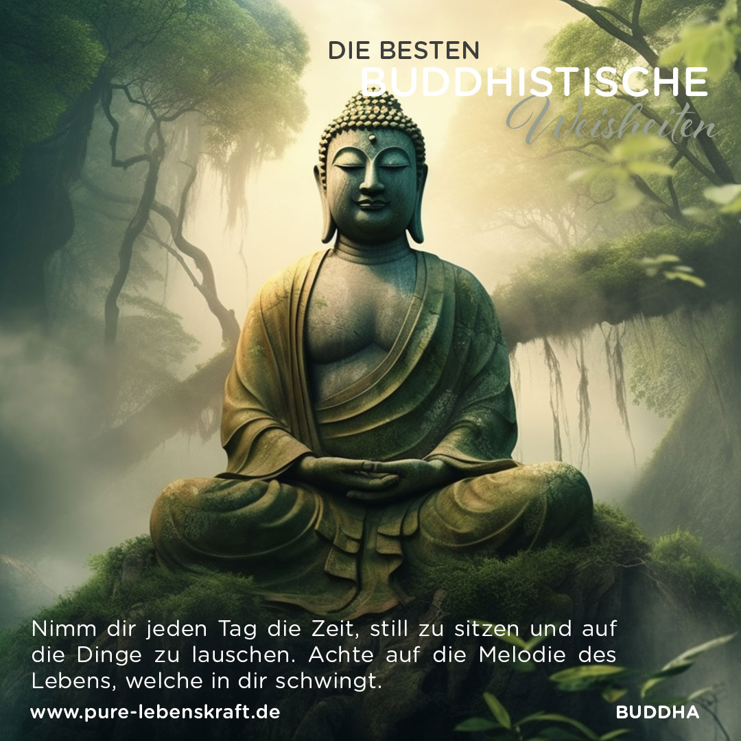 _BuddhaQuotes_05
