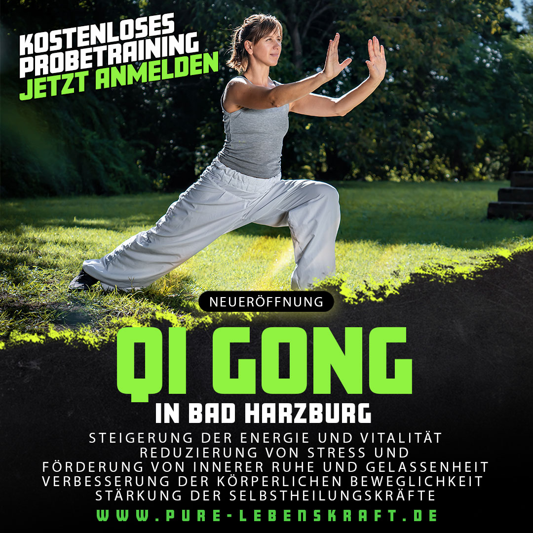 flyer_203_v3